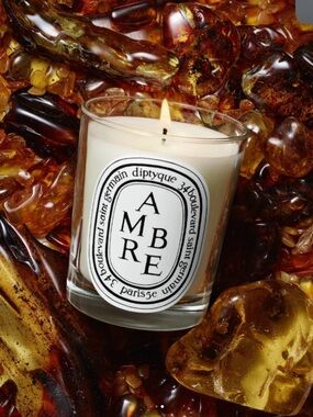 Diptyque Ambre (Amber) Scented Candle